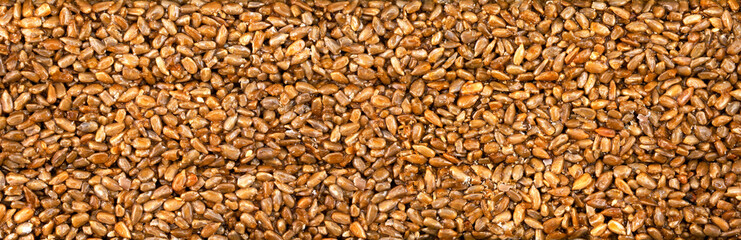 Sunflower Seeds in honey. Background. Texture.