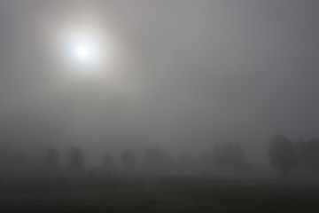 Obraz premium Jesienny wschód słońca w mglisty poranek