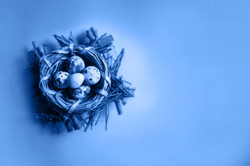 Easter eggs in the nest on blue background.