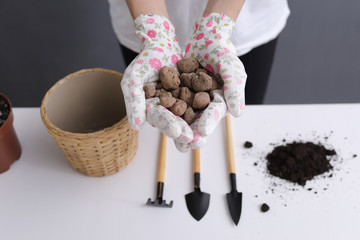 the process of preparing for plant transplantation. hands of woman in stylish gloves holds drainage for houseplants on white background. Eco concept. Eco hobby. selective focus