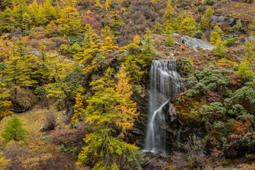 Waterfall with autunm leaves in Yading Nature Reserve, Sichuan, China