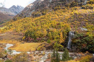 Fototapeta na wymiar Waterfall with autunm leaves in Yading Nature Reserve, Sichuan, China