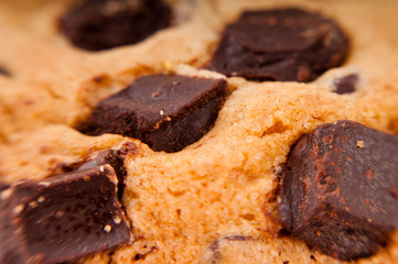 Chunky chocolate chip cookies extreme closeup