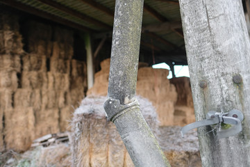 Shallow focus of a broken drain pipe which is connected to a hay barn roof. Traditional shaped bales of hay can be seen in the barn, belonging to a dairy farm in the UK.