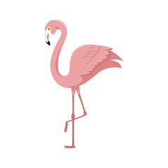 flamingo pink animal exotic isolated icon vector illustration design