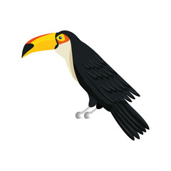 toucan animal exotic isolated icon vector illustration design