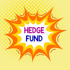 Word writing text Hedge Fund. Business photo showcasing basically a fancy name for an alternative investment partnership Asymmetrical uneven shaped format pattern object outline multicolour design