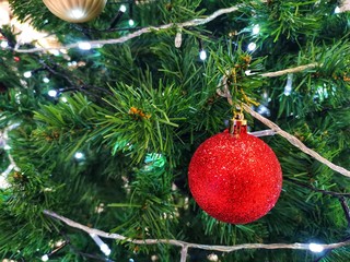 christmas ball on tree