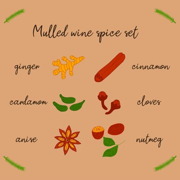 A set of spices for mulled wine. Beige background with sprus twig. Food illustration hand drawn vector