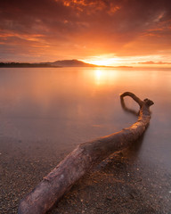 Fototapeta premium sunset on lake