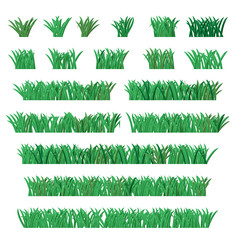 Grass illustration green set. Vector.