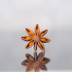 Spice star anise