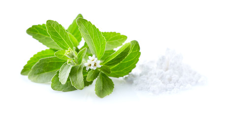 Stevia plant rebaudiana with powder on white background - obrazy, fototapety, plakaty