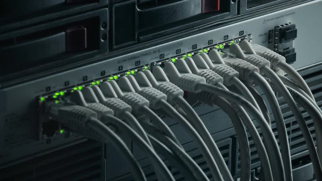 Macro Shot: Person Plugs in RJ45 Internet Connector into LAN Router Switch. Information Communication Network with Data Cables Connected to Modem Ports with Flashing Lights