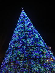 Christmas tree illuminated at night