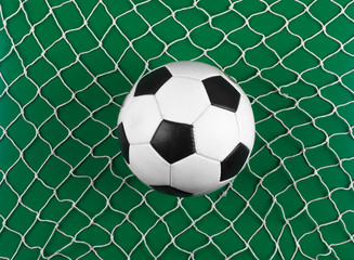 classic soccer ball and net isolated on green background