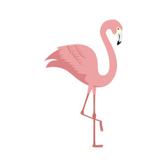 flamingo pink animal exotic isolated icon vector illustration design