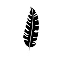 silhouette of leaf nature tropical isolated icon vector illustration design