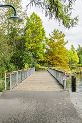 Park Walking Bridge 2