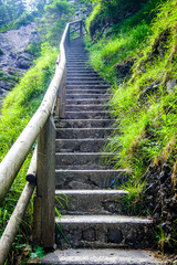 Obraz premium old steps at a forest