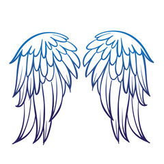 Pair of spread eagle or angel wings