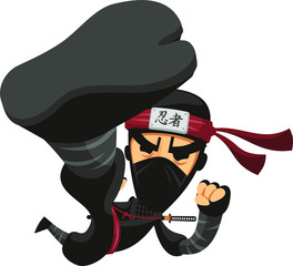 ninja kick © Joaquin