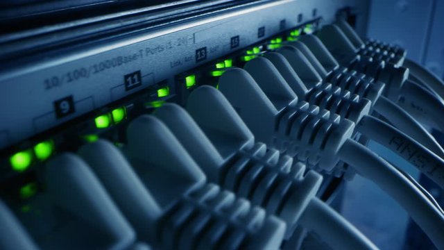 Macro Shot: Ethernet Data Cables Connected to Router Ports with Blinking Lights. Telecommunications: RJ45 Internet Connectors Plugged into Modem LAN Hub. Secure Data Center System Working