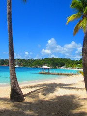 Le paradis: Des aplmiers sur une plage de sable blanc et la mer turquosie avec un ponton