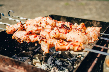 shish kebab on skewers