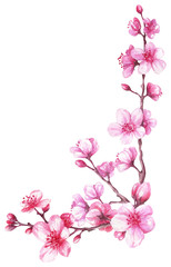  Watercolor seamless composition with blooming cherry. Sakura.