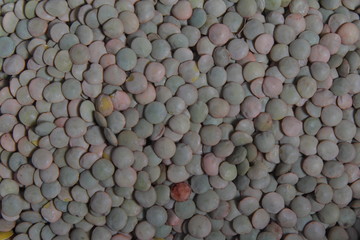 Close up of dried green lentils. Green lentils pattern as background.