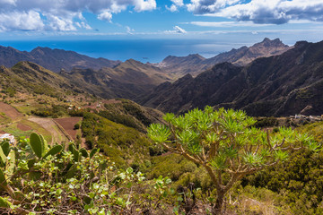 Fototapeta na wymiar Costa de Anaga (Tenerife, Islas Canarias - España).