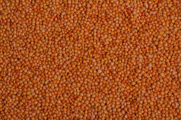 Background with lots of lentils. Texture of red lentils close-up.