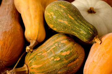 a bunch of pumpkins of different colors and shapes lying on the floor, colorful background, selective focus, close-up