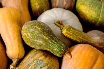a bunch of pumpkins of different colors and shapes lying on the floor, colorful background, selective focus, close-up