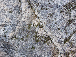 Texture of a sedimentary limestone rock with small cracks
