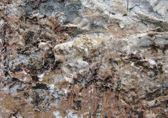 Texture of a sedimentary limestone rock with small crystals 