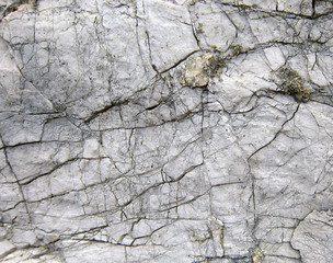 Texture of a sedimentary limestone rock with cracks     