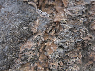 Texture of a sedimentary limestone rock with small crystals 