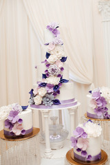 luxury wedding cake on restaurant interior background. Holiday cakes for gourmets. Wedding cake. Delicious and very well decorated wedding cake.