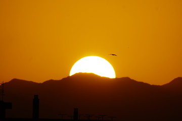 sunset solar disk  puesta de sol disco solar