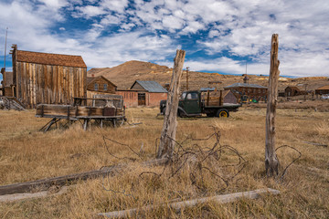 bodie