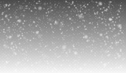 Fototapeta na wymiar Vector snowfall, seamless realistic falling snow, snowflakes in different shapes and forms. Snow flakes, snow background. Christmas, winter wether. Nappy new year. Vector design for banner, post