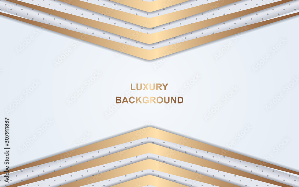 Poster modern abstract light silver background vector. elegant shape design with golden line. luxury vector