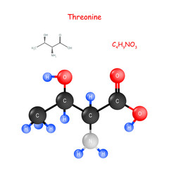 Threonine. Chemical structural formula and model of molecule.