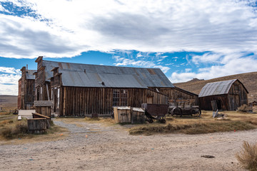 bodie