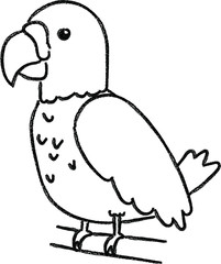 bird hand drawn crayon illustration 