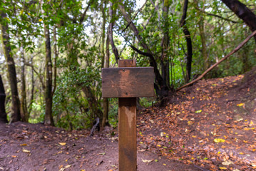 Letrero de madera en un sendero.