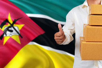 Mozambique real estate sale concept. Wooden house model with discount tag on national flag...