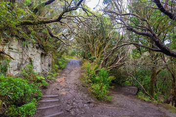 Hiking trail in Anaga (Tenerife, Canary Islands - Spain).